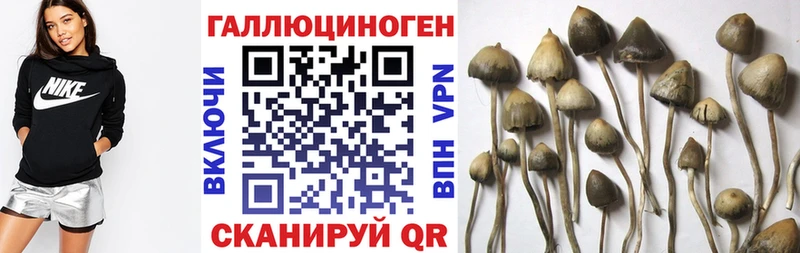 наркотики  darknet состав  Псилоцибиновые грибы мицелий  Калининец 